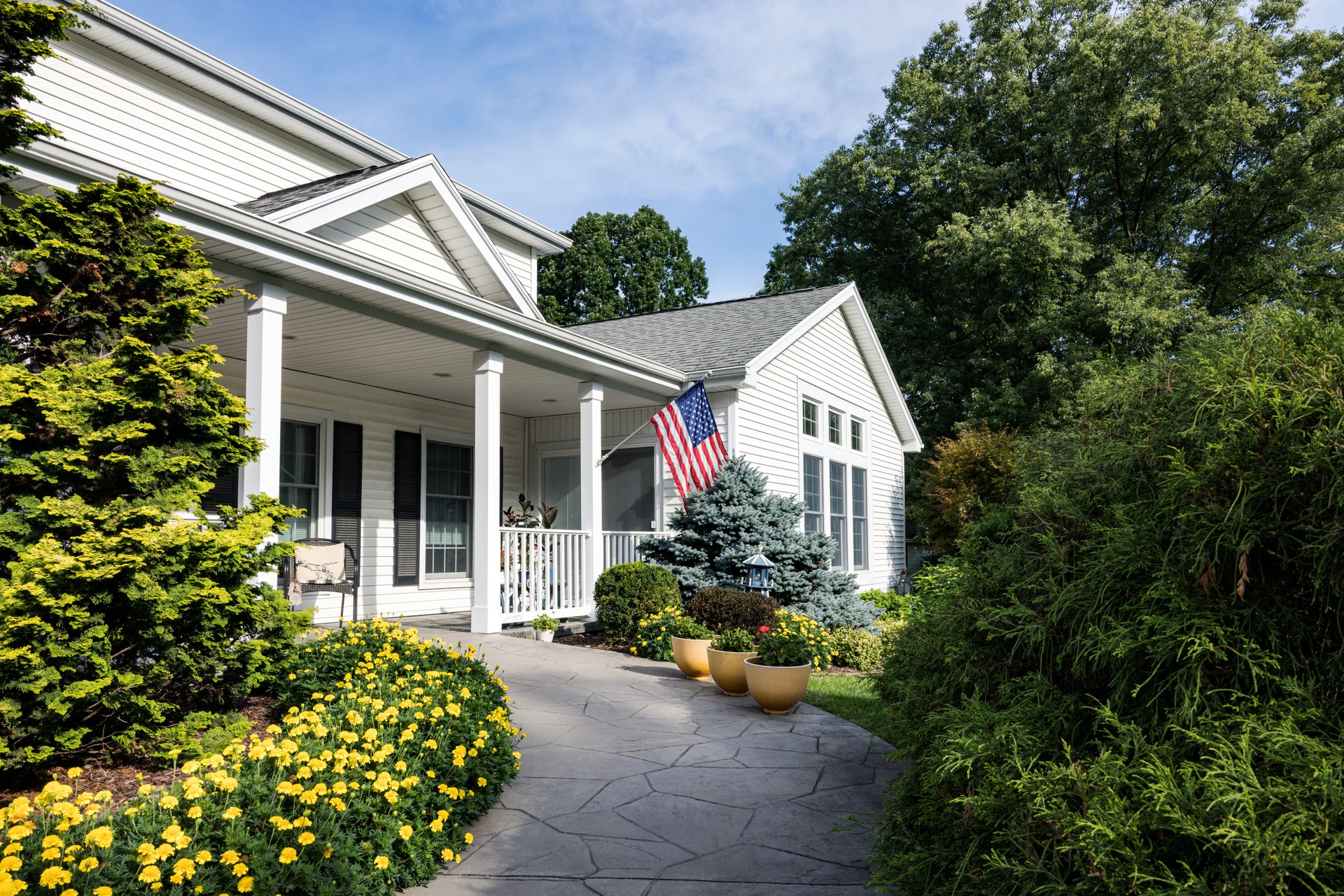 Yellow Marigold Flower Bed Lining Home Front Walkway